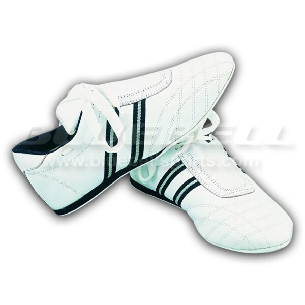 Taekwondo Shoes